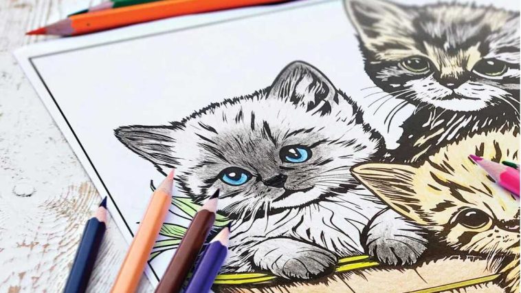 Free Cat Coloring Pages