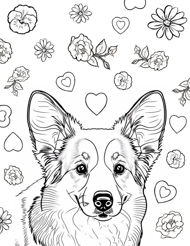 Corgi Coloring Page