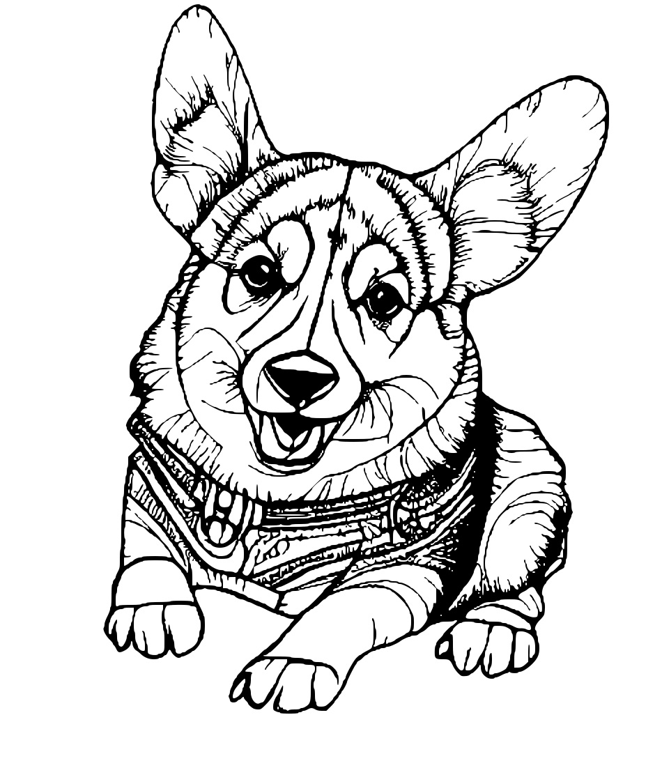 Corgi Coloring Page